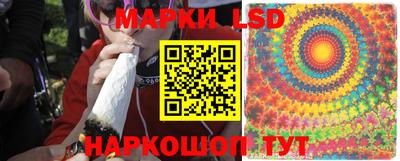 эйфоретик Жуковский