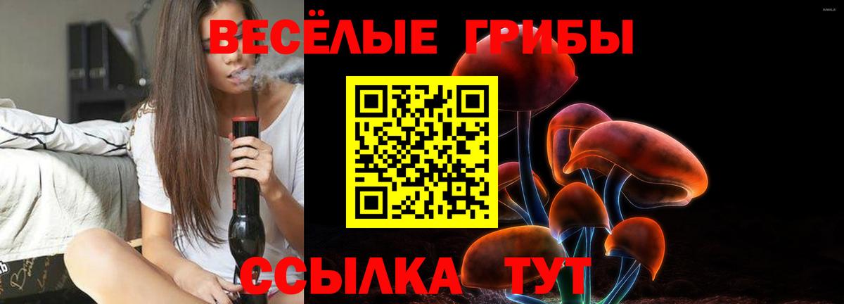 наркошоп  Псилоцибиновые грибы Psilocybe  Вход с VPN  Галлюциногенные грибы Psilocybe  Черкесск 